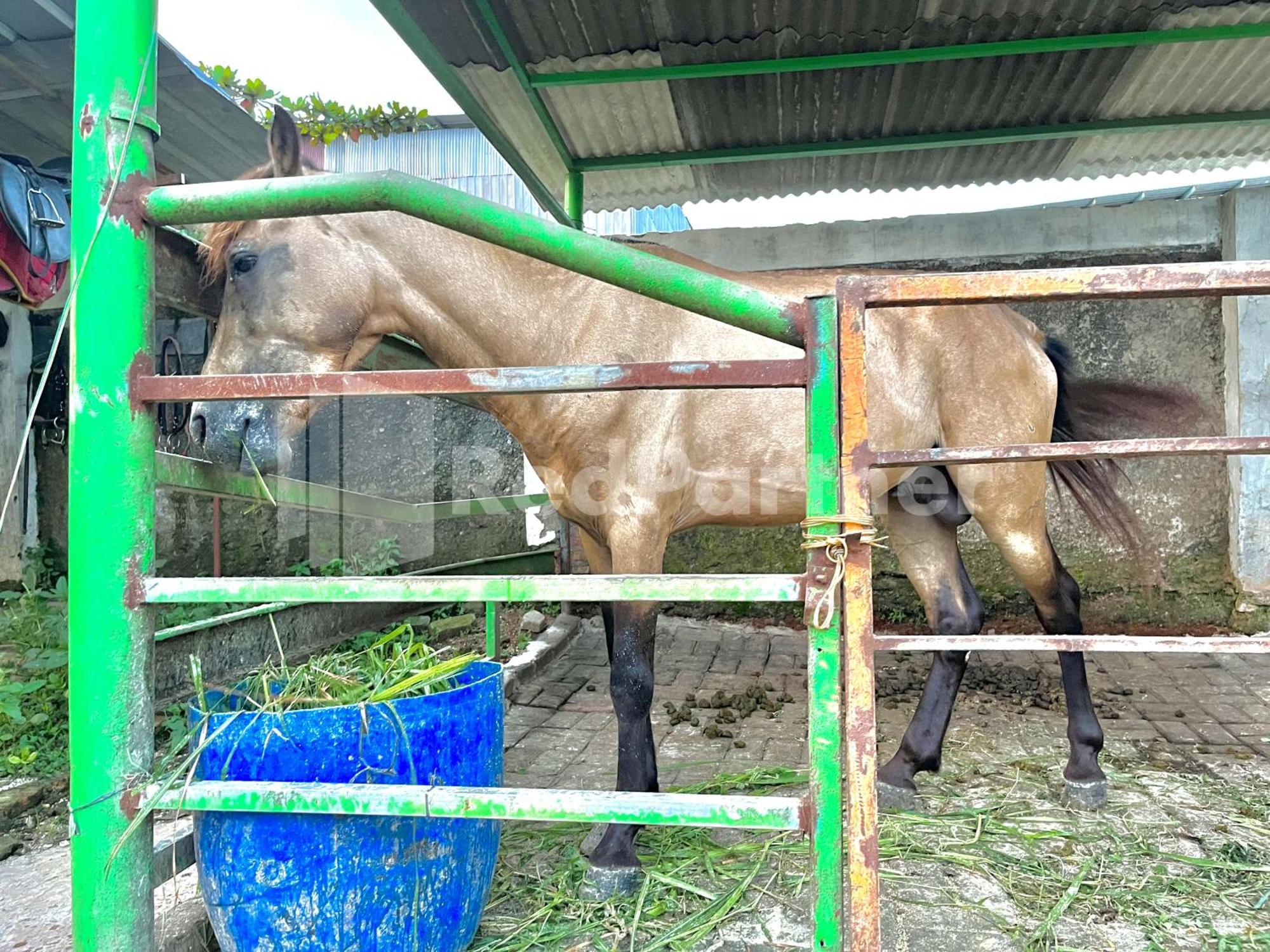 Lafa Park Syariah Rengas Bandung Cikarang Redpartner Ξενοδοχείο Cibeber Εξωτερικό φωτογραφία